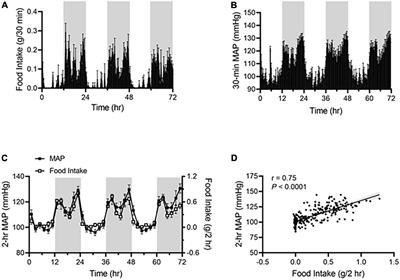 Role of sympathetic pathway in light-phase time-restricted feeding-induced blood pressure circadian rhythm alteration